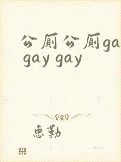 公厕公厕gay gay gay