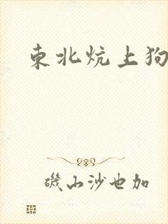 东北炕上狗儿封面