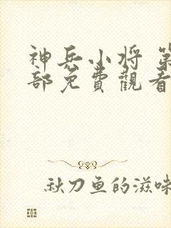 神兵小将 第一部免费观看