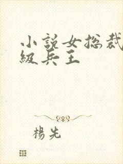 小说女总裁的超级兵王