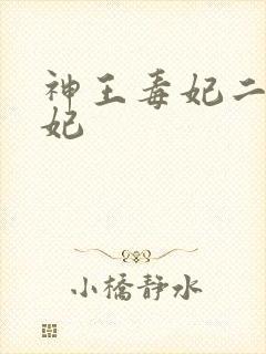 神王毒妃二嫁王妃