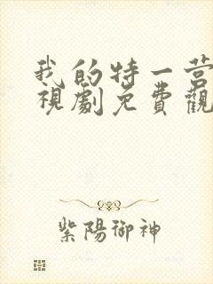 我的特一营 电视剧免费观看全集