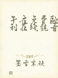 午夜免费欧美福利在线观看封面