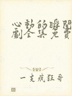 心动的瞬间电视剧全集免费观看