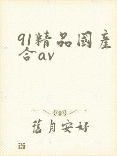 91精品国产综合av