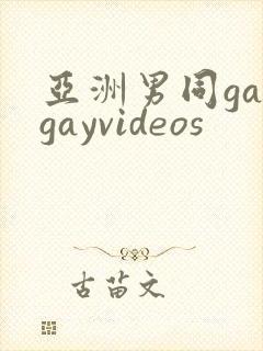 亚洲男同gaygayvideos