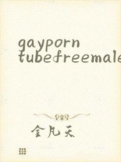 gayporntubefreemalesexvideo