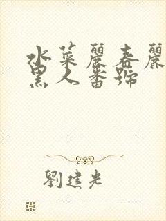 水菜丽春丽大战黑人番号