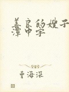 善良的嫂子李采潭中字封面