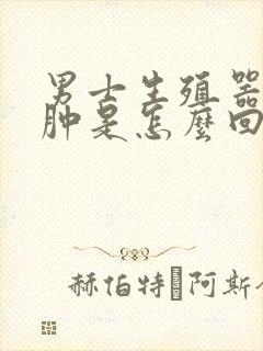 男士生殖器痒还肿是怎么回事