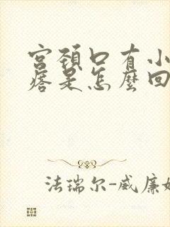 宫颈口有小 疙瘩是怎么回事