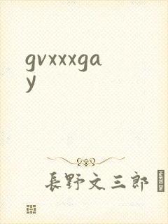 gvxxxgay封面