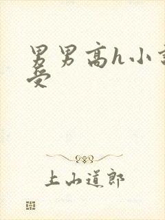 男男高h小说总受