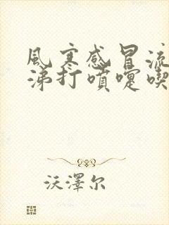 风寒感冒流清鼻涕打喷嚏吃什么药封面