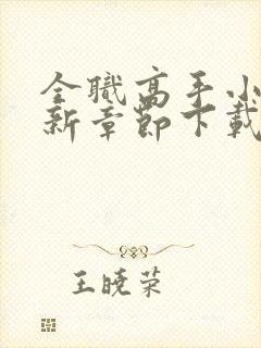 全职高手小说最新章节下载