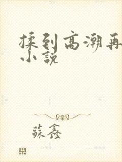 揉到高潮再c她小说