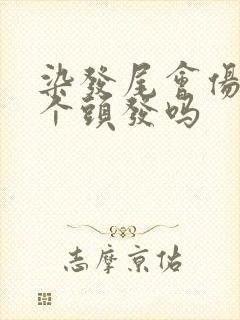 染发尾会伤害整个头发吗封面