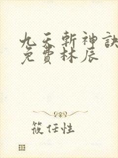 九天斩神诀小说免费林辰封面