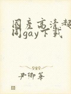 国产高清超帅男同gay下载封面