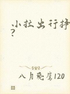 小拉出行挣钱吗?