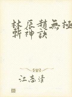 林辰赵无极九天斩神诀