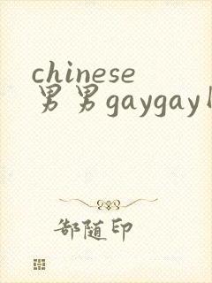 chinese男男gaygay网