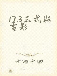 17.3正式版电影