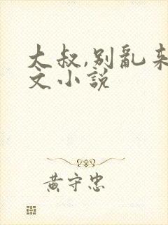 大叔,别乱来全文小说