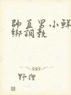 帅直男小鲜肉捆绑调教