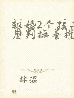 离婚2个孩子怎麽判抚养权