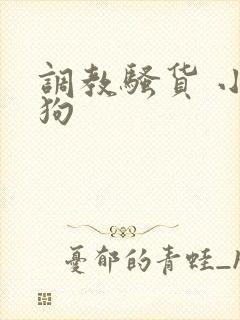调教骚货 小母狗