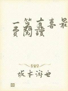 一笙有喜最新免费阅读封面