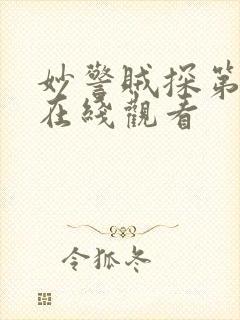 妙警贼探第五季在线观看封面