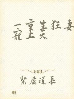 一重生狂妻大佬宠上天