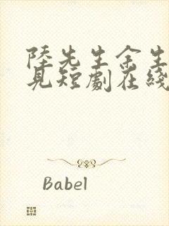 陆先生余生不再见短剧在线观看封面