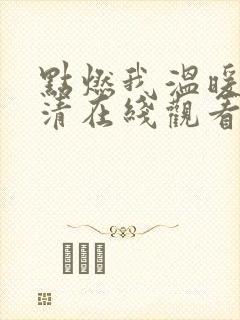 点燃我温暖你高清在线观看电视剧