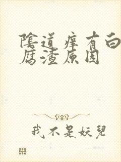 阴道痒有白色豆腐渣原因