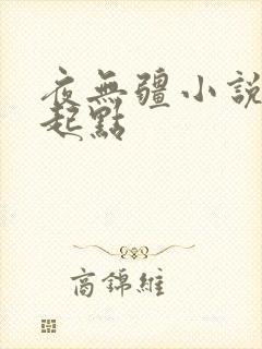 夜无疆小说辰东起点