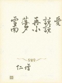 雪落再说爱你宋南夕小说