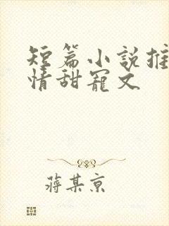短篇小说推荐言情甜宠文