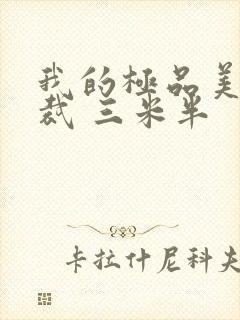 我的极品美女总裁 三米半