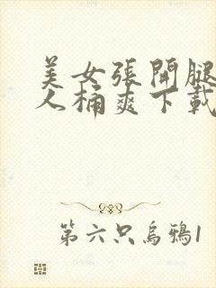 美女张开腿让男人桶爽下载