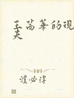 王茜华的现任丈夫封面