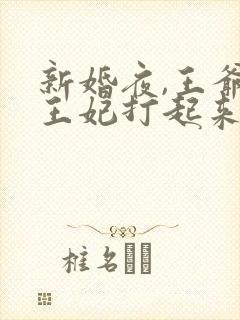 新婚夜,王爷和王妃打起来了在线免费阅读