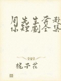 周先生奔赴去爱你短剧全集