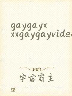 gaygayxxxgaygayvideo
