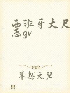 西班牙大尺度同志gv封面