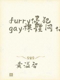 furry侵犯gay裸体网站