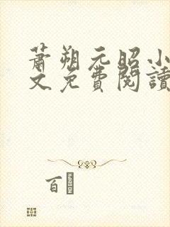 萧朔元昭小说全文免费阅读