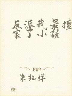 反派我最擅长偷家了小说